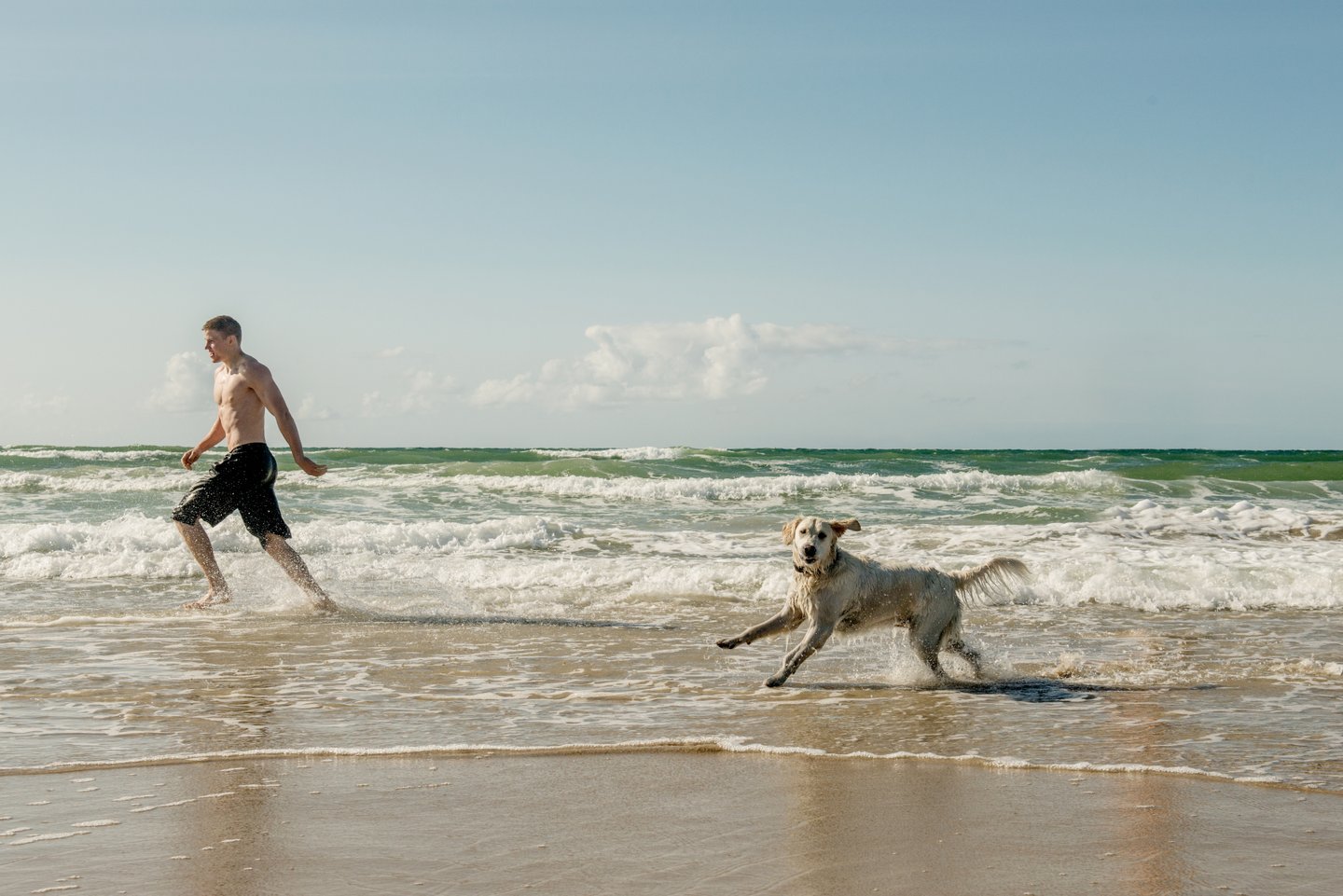 generation praktiseret Lure Urlaub mit Hund in Dänemark