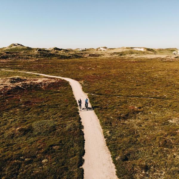 Radfahren an der Dänischen Nordseeküste