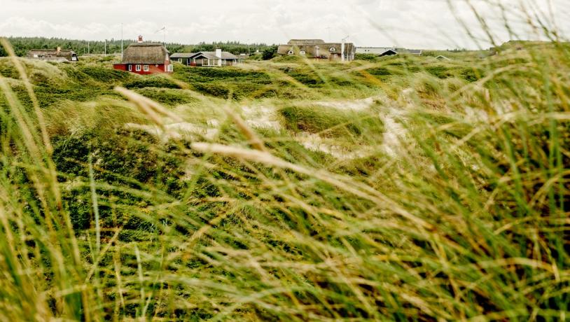 Ferienhäuser in Løkken