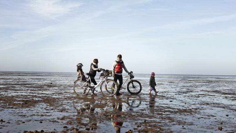 Family with bikes in the Wadden Sea