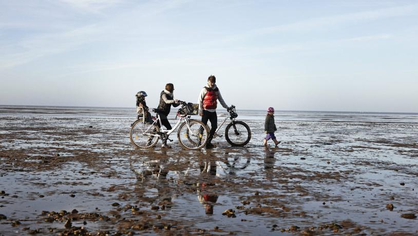Family at Wadden Sea with Bikes