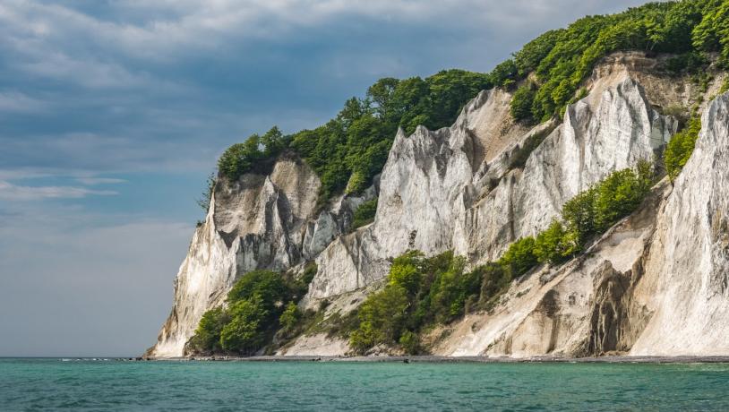 Kreidefelsen Møns Klint in Südseeland an der Dänischen Ostsee