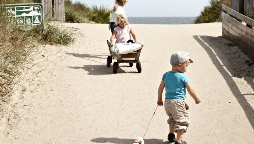 Kinder auf dem Weg zum Strand auf den Dänischen Ostseeinseln