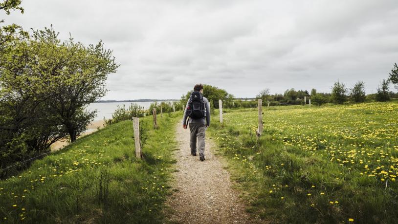 Wandern in Nordseeland an der Dänischen Ostsee