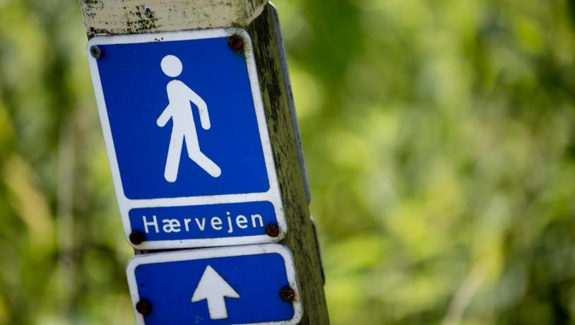 Wandern auf dem dänischen Pilgerweg Heerweg
