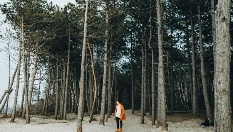 A man hiking at Hornbæk plantage, North Zealand, Denmark