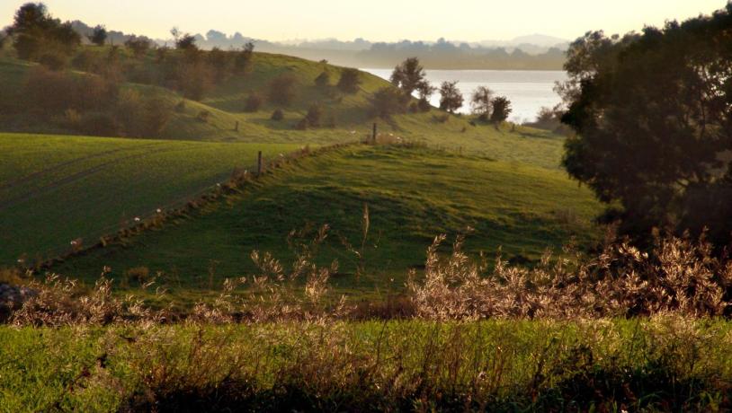 Bild von der Landschaft und Wasser bei Hornsherred