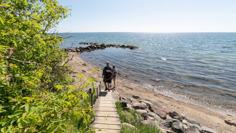 Ein Bild von zwei Personen, die am Strand wandern