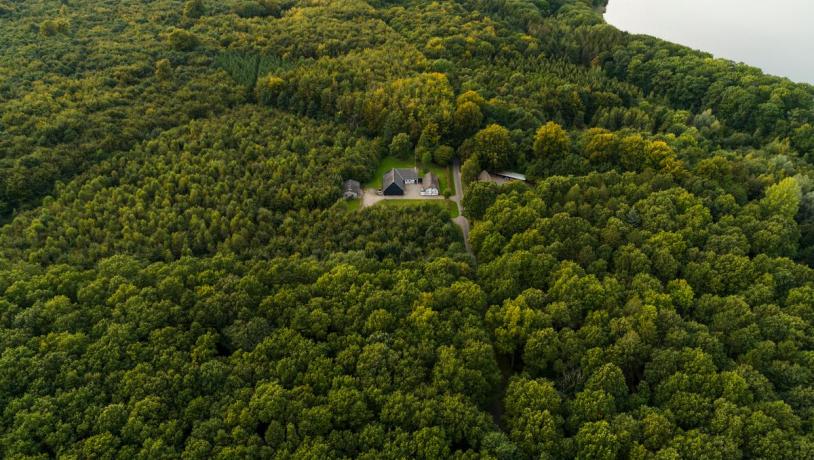 Forest on the Danish island Falster