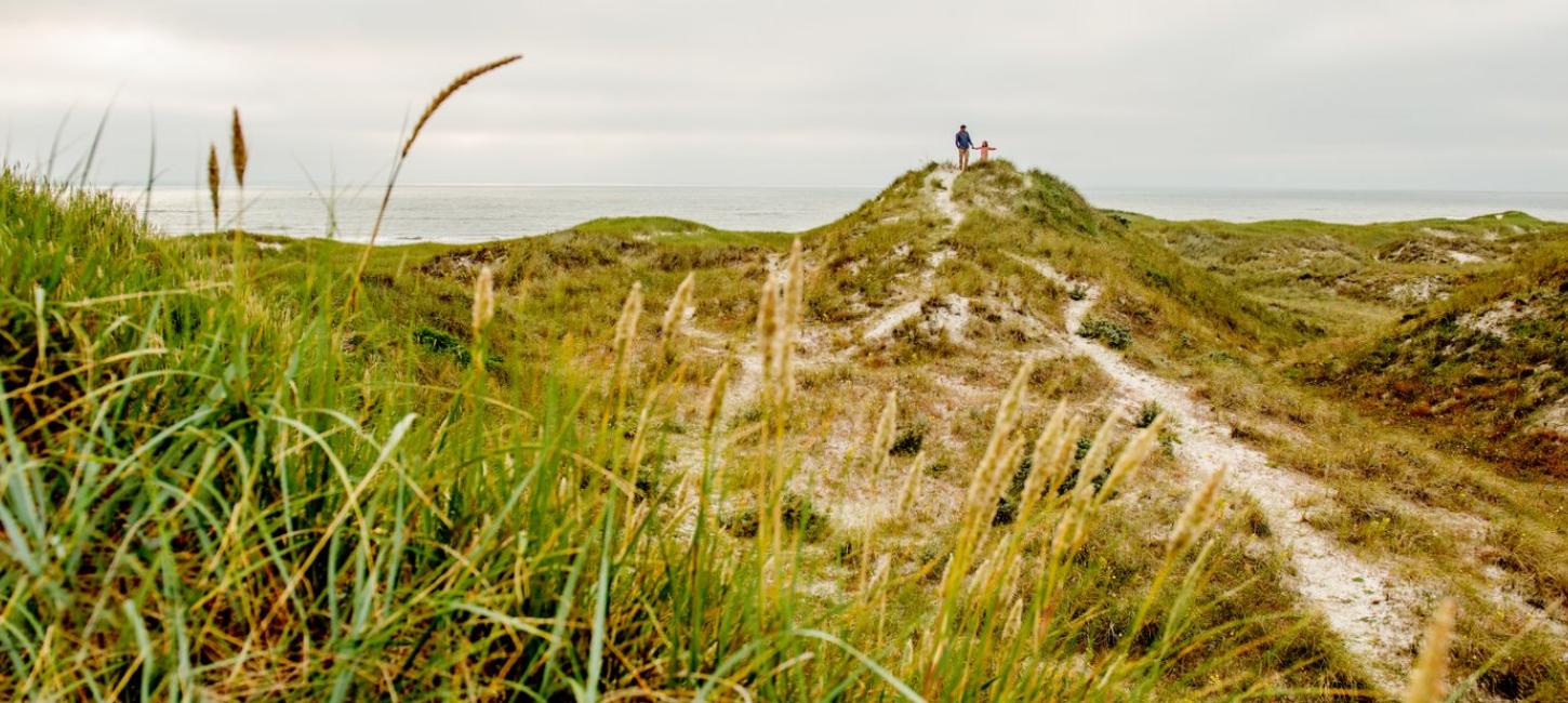 The Dunes at Henne Strand in West Jutland, Denmark