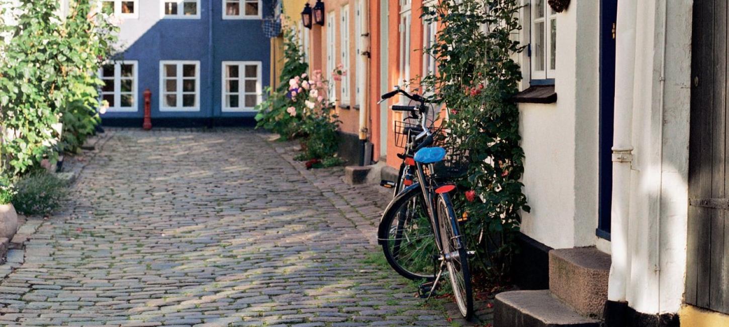 Brosteinsgate og stokkroser i Aalborg by