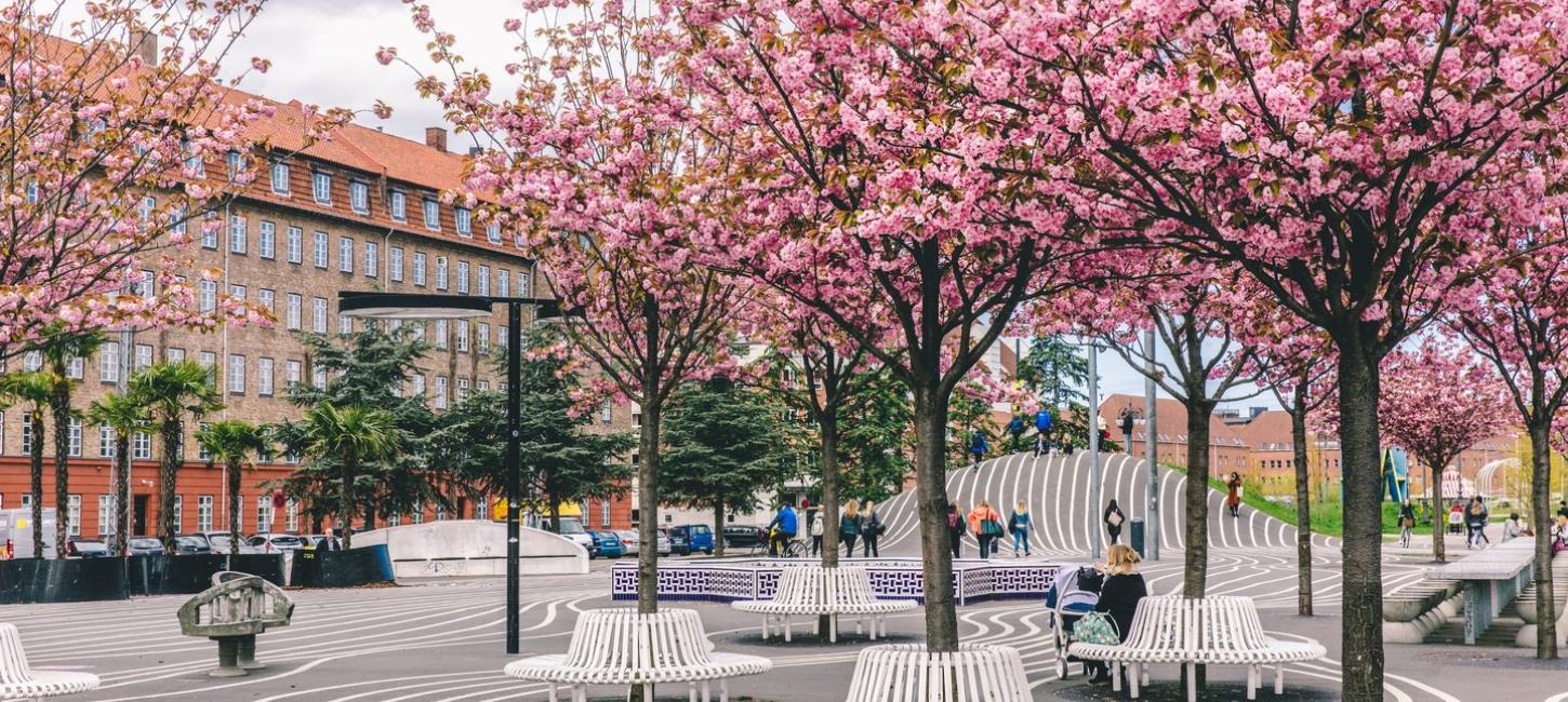 Superkilen Park Nørrebro Spring