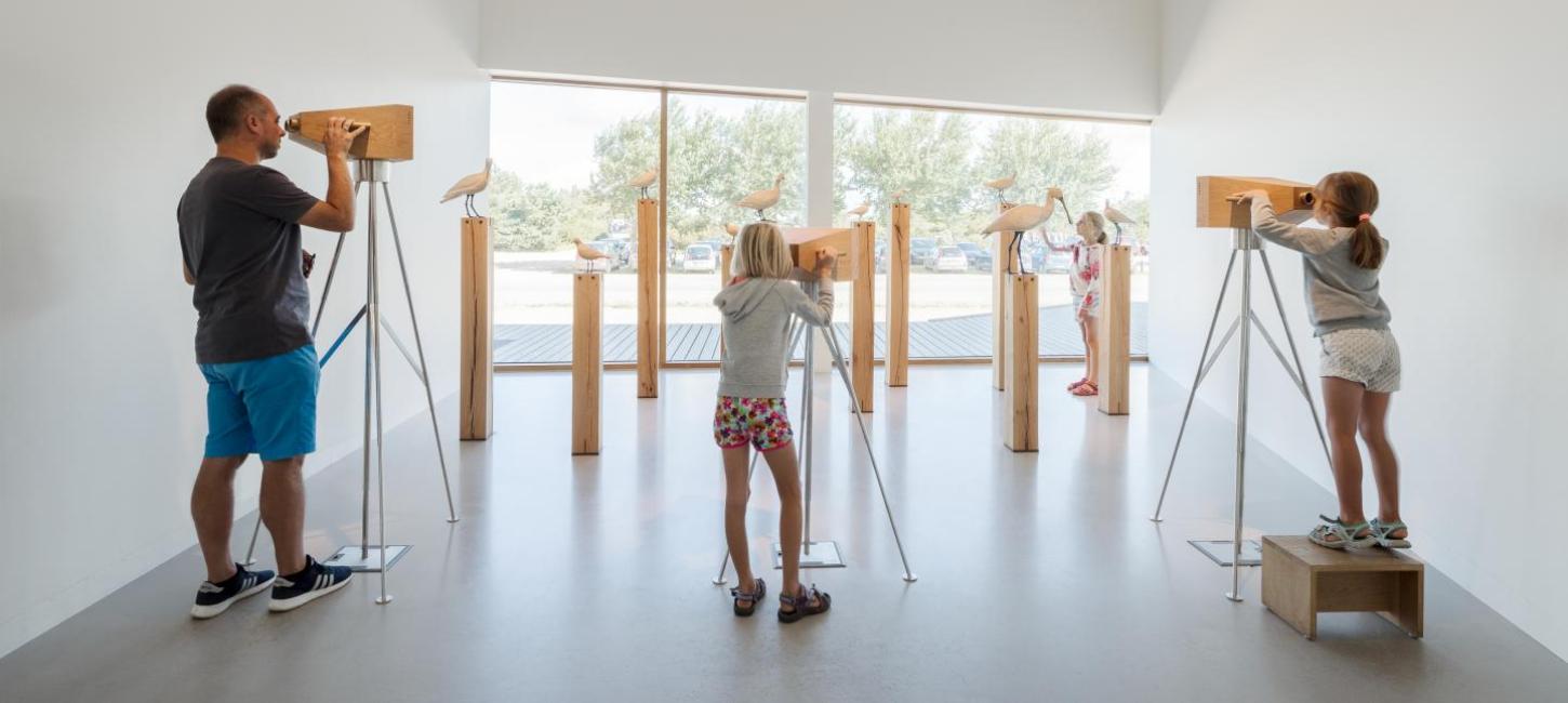 Ausstellung im Vadehavscentret, dem Besucherzentrum für das Welterbe Wattenmeer an der Süddänischen Nordsee