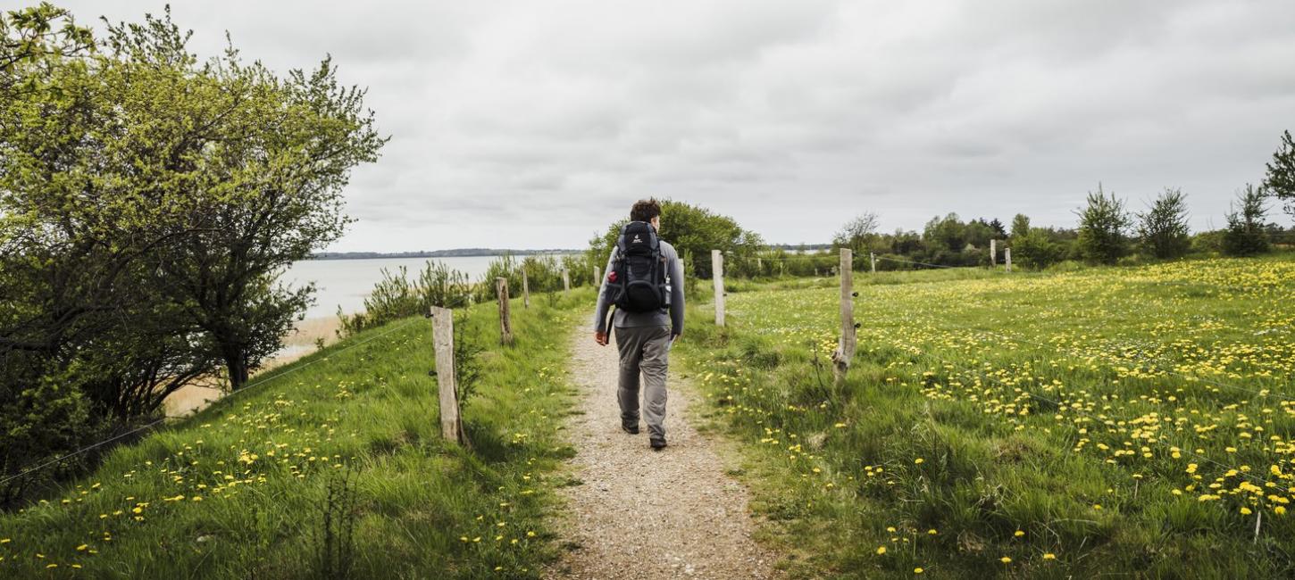 Wandern in Nordseeland an der Dänischen Ostsee