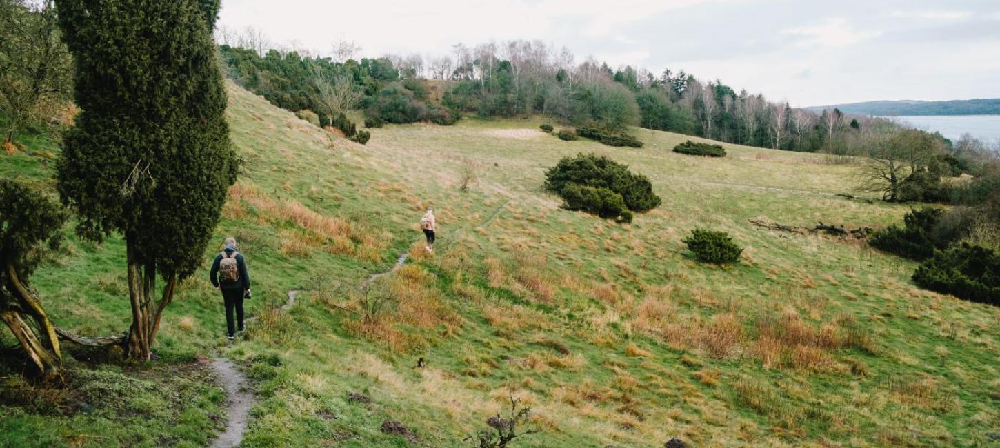 Wandern in den Bramslev Bakker im dänischen Nordjüland