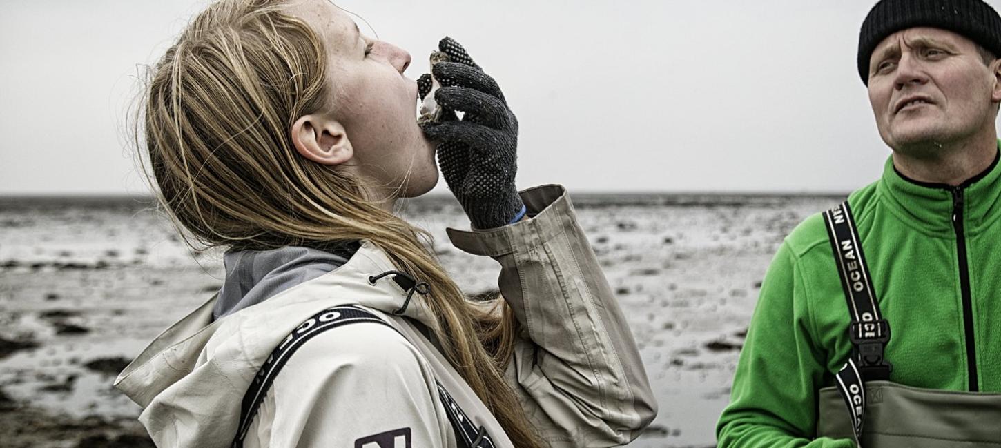 Personen auf einer Austernsafari im Nationalpark Wattenmeer an der Süddänischen Nordsee