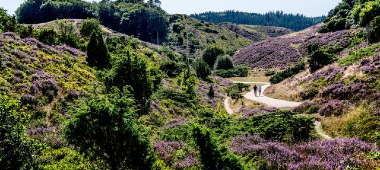Wandelend in Rebild Bakken
