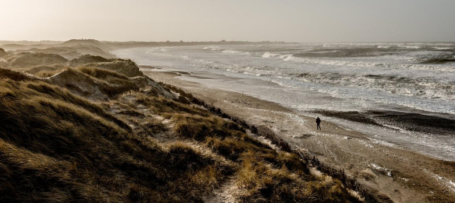 Ein Mann spaziert entlang dem Strand in Klitmøller