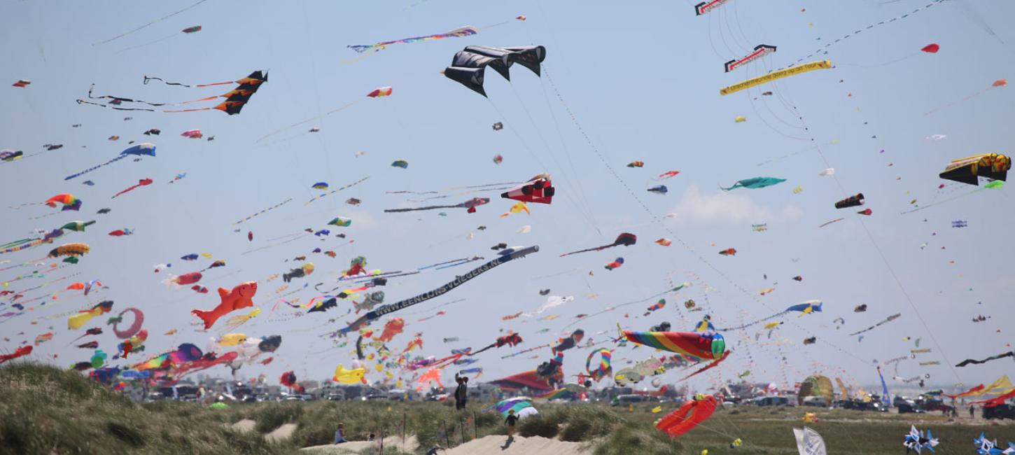 Bild von vielen bunten Drachen auf dem Fanø Kite Flyers Meeting