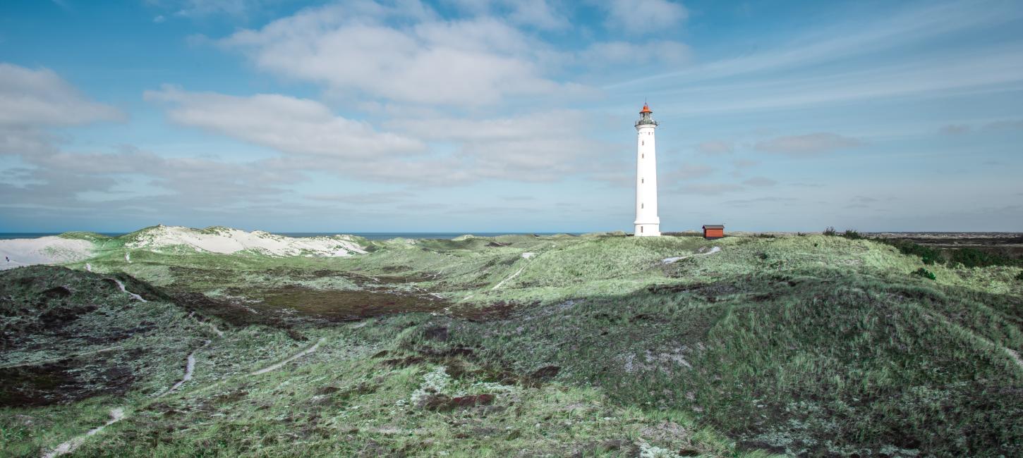 Bild von Lyngvig Leuchtturm bei Hvide Sande