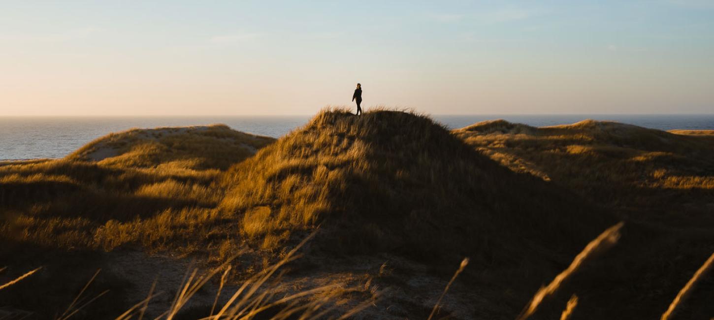 Picture of the nature reserve near Henne Strand