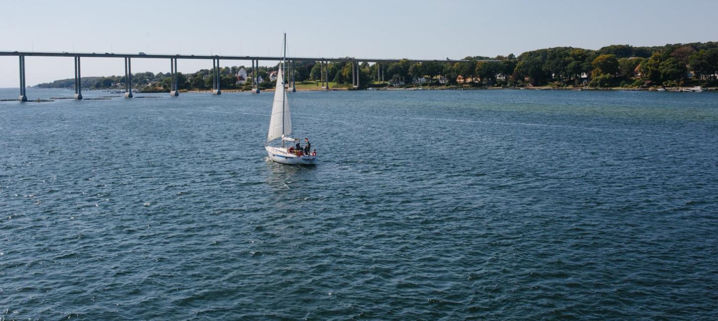 Sailing in Svendborg, Fyn