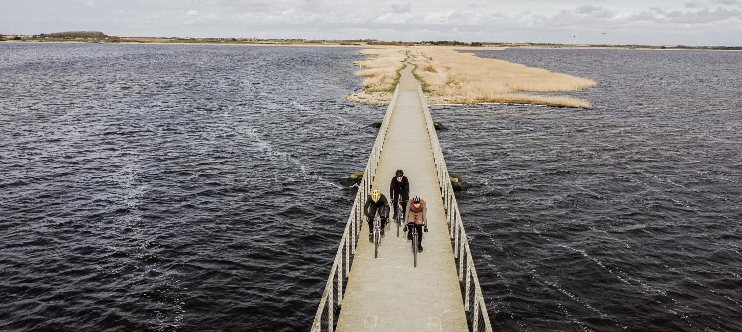 Bild von Radfahrern, die über den Damm Bagges Dæmning bei Ringkøbing Fjord fahren