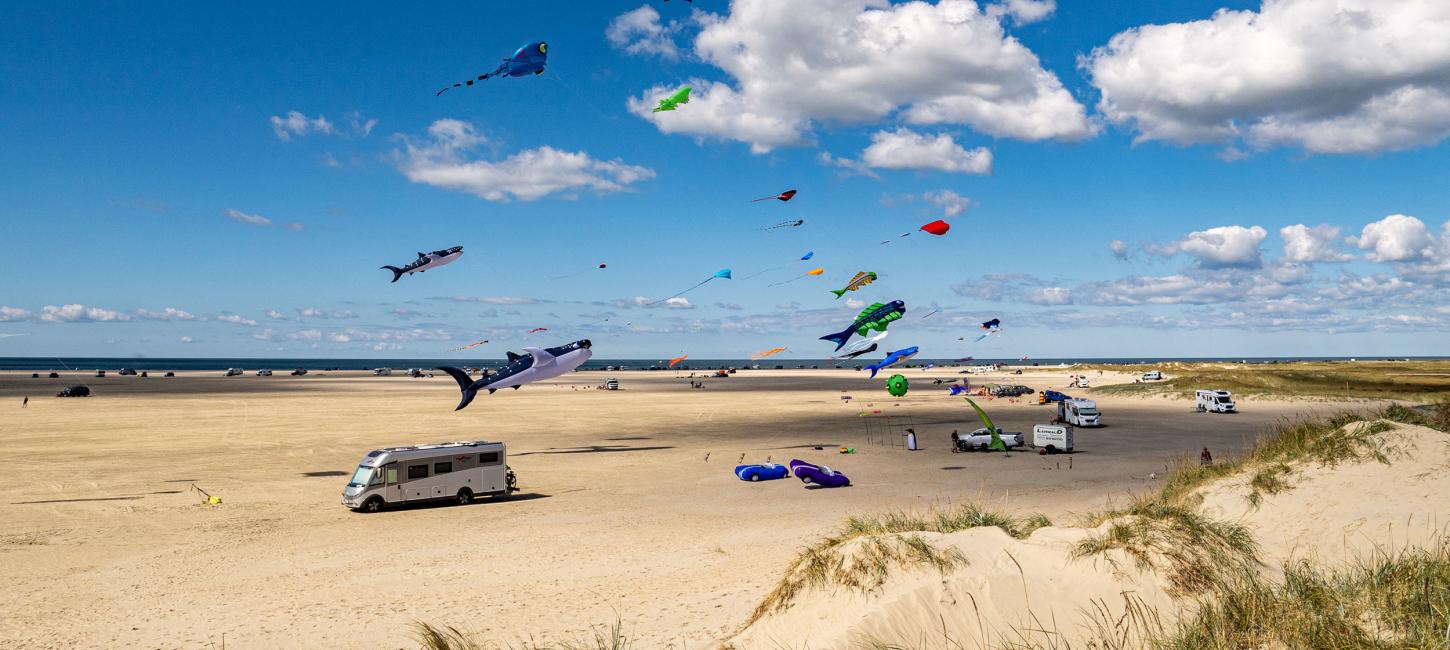 Bild von vielen bunten Drachen auf dem Strand von Rømø