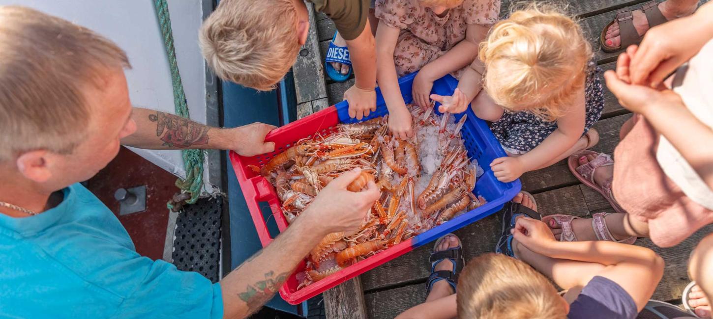 An adult showing lobster to children on Læsø