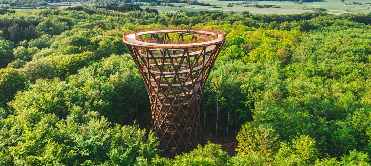 A tower standing in a forest