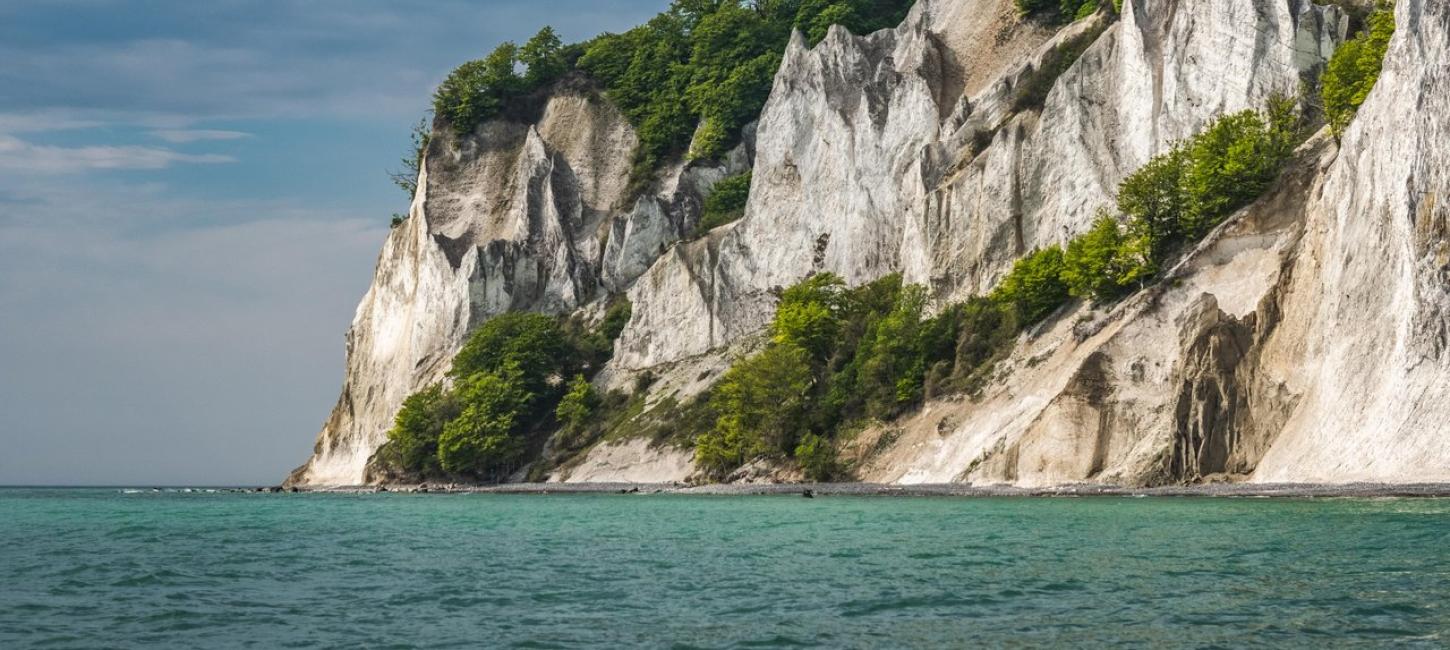 Møns Klint Kreidefelsen
