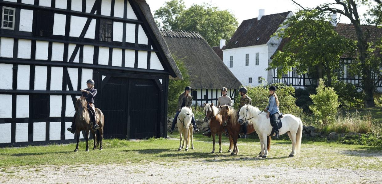 Reiterferien in Faaborg