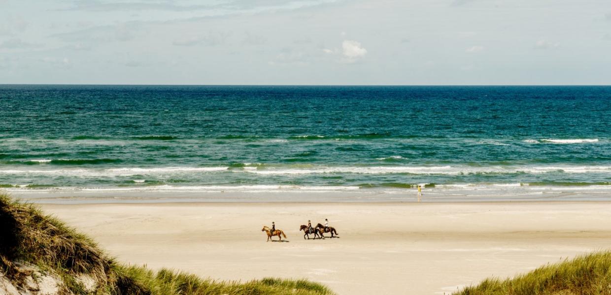 Reiten am Blokhus Strand in Nordjütland an der Dänischen Nordsee