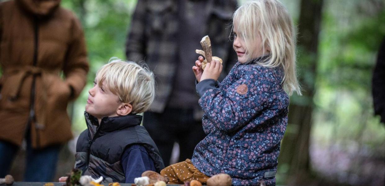 Zwei Kinder auf Pilzwanderung in Naturpark Vesterhavet