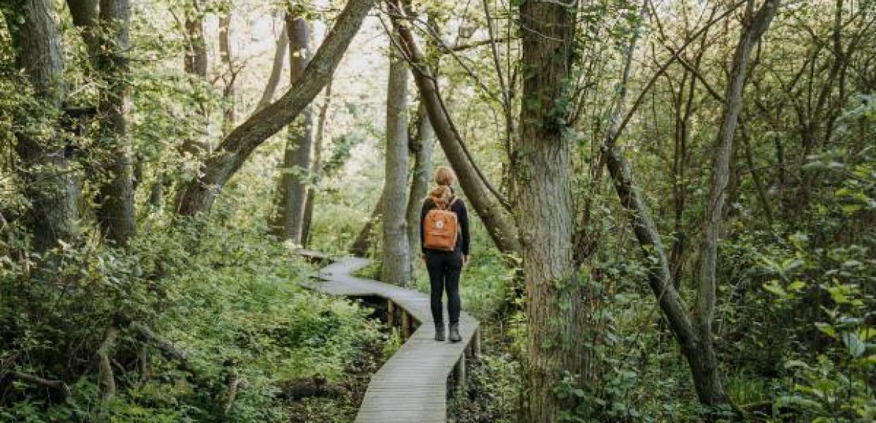 Bild eines Mannes beim Wandern in der Natur bei Gundsømagle