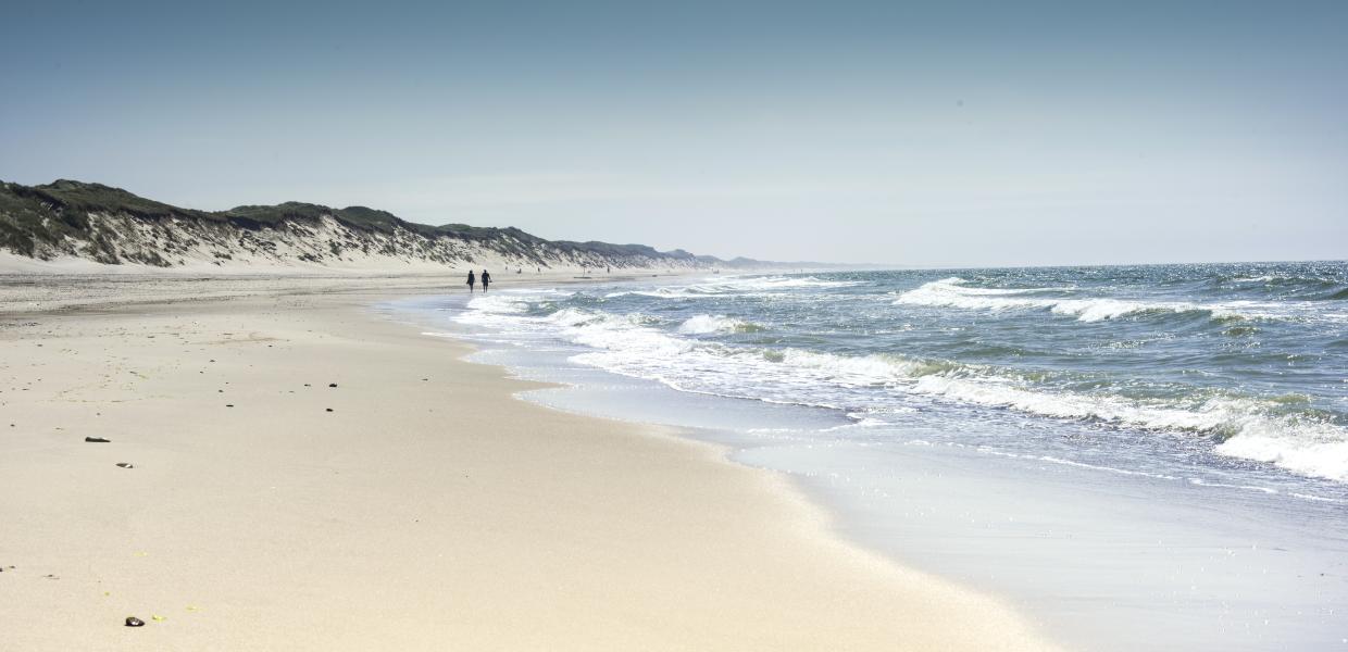 Bild von einem Strand an der dänischen Nordsee