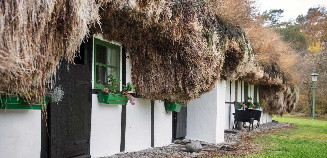 A house with a roof made of seaweed