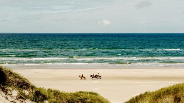 Reiten am Blokhus Strand in Nordjütland an der Dänischen Nordsee