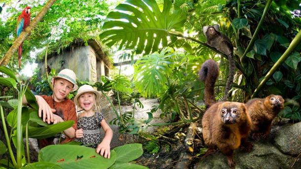 Children in tropical zoo Randers Regnskov, Denmark