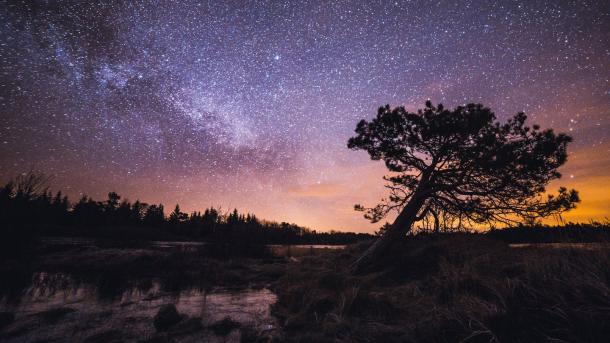Sternenhimmel über dem Thy Nationalpark