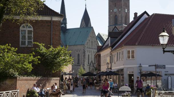 Denmark's oldest town Ribe