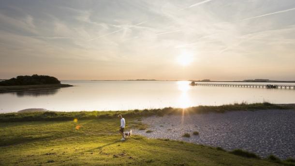 Hestehoved Beach on Lolland