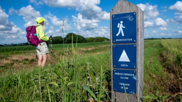 Wanderung in der Tøndermarsch