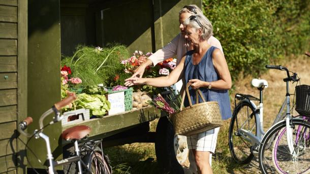 Couple grocery shopping in Lønstrup