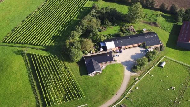 Das Weingut Ørby Vingård in Nordseeland an der Dänischen Ostsee