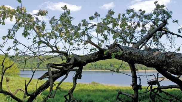 Tystrup-Bavelse lake in South Sealand, Denmark