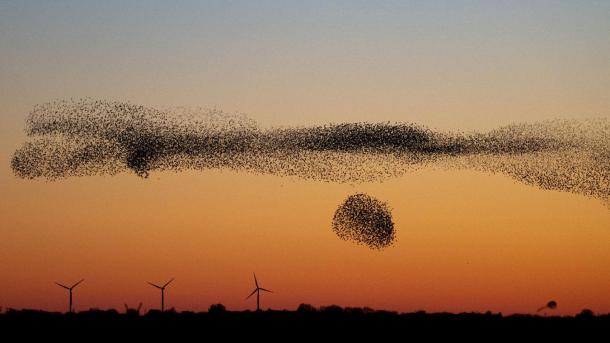 Natur phenomenon Black Sun in South Jutland, Denmark