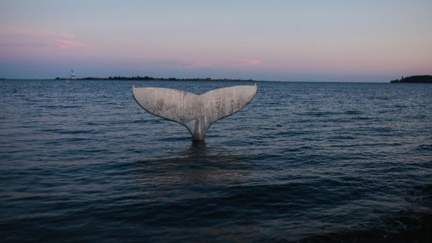 Fake whale tail in Faaborg Harbour Bath, Fyn