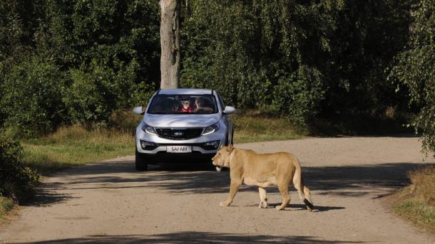 Safari at Givskud Zoo