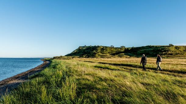 Hiking on island Mors in Limfjord, North Jutland in Denmark